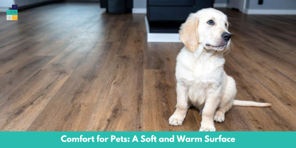 Comfort for Pets: A Soft and Warm Surface