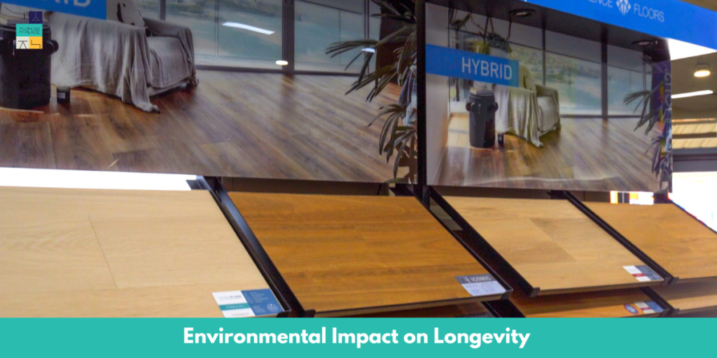 Environmental Impact on Longevity vinyl